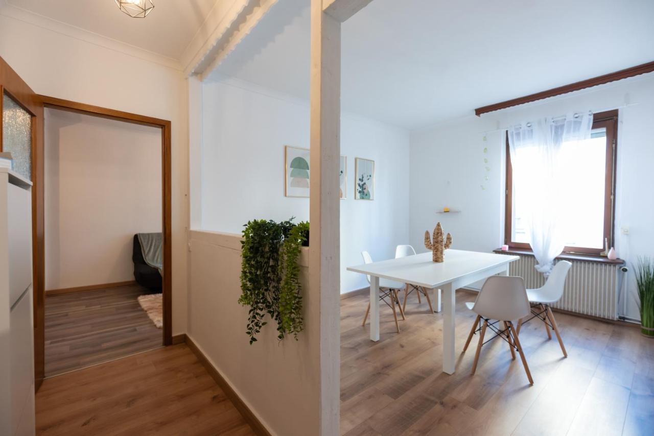 Appartement Cosy De 80 M2 Mulhouse Extérieur photo